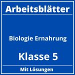 Arbeitsblätter Biologie Klasse 5 Ernährung PDF