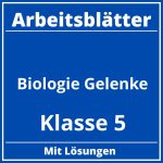 Biologie Arbeitsblätter Klasse 5 Gelenke PDF