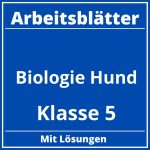 Biologie Klasse 5 Hund Arbeitsblätter PDF