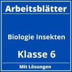 Arbeitsblätter Biologie Klasse 6 Insekten PDF