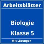 Arbeitsblätter Biologie Klasse 5 Kostenlos PDF