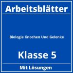 Biologie Klasse 5 Knochen Und Gelenke Arbeitsblätter PDF