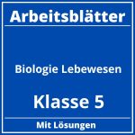 Arbeitsblätter Biologie Klasse 5 Lebewesen PDF