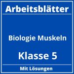 Arbeitsblätter Biologie Klasse 5 Muskeln PDF