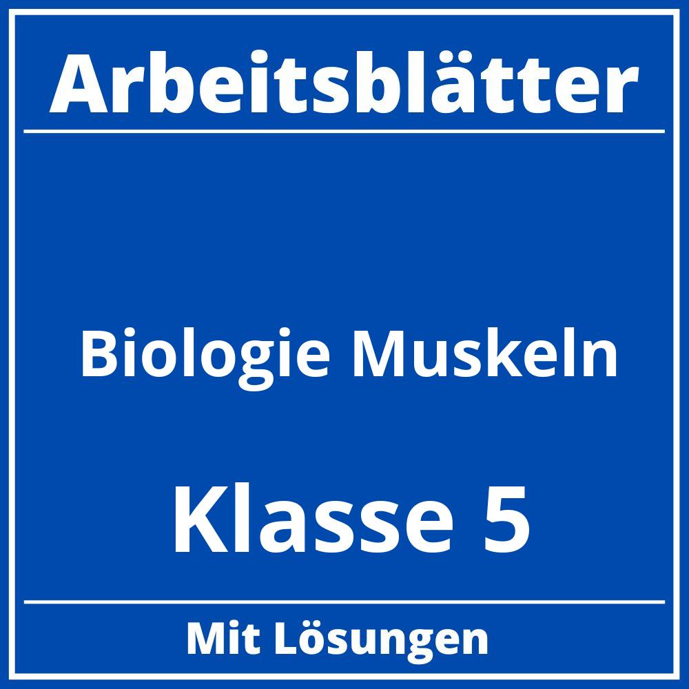 Arbeitsblätter Biologie Klasse 5 Muskeln