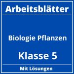 Arbeitsblätter Biologie Klasse 5 Pflanzen PDF