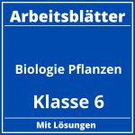 Biologie Klasse 6 Pflanzen Arbeitsblätter Kostenlos PDF