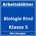 Arbeitsblätter Biologie Klasse 5 Rind PDF