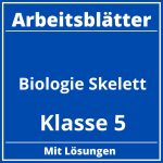 Arbeitsblätter Biologie Klasse 5 Skelett PDF