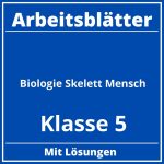 Arbeitsblätter Biologie Klasse 5 Skelett Mensch PDF