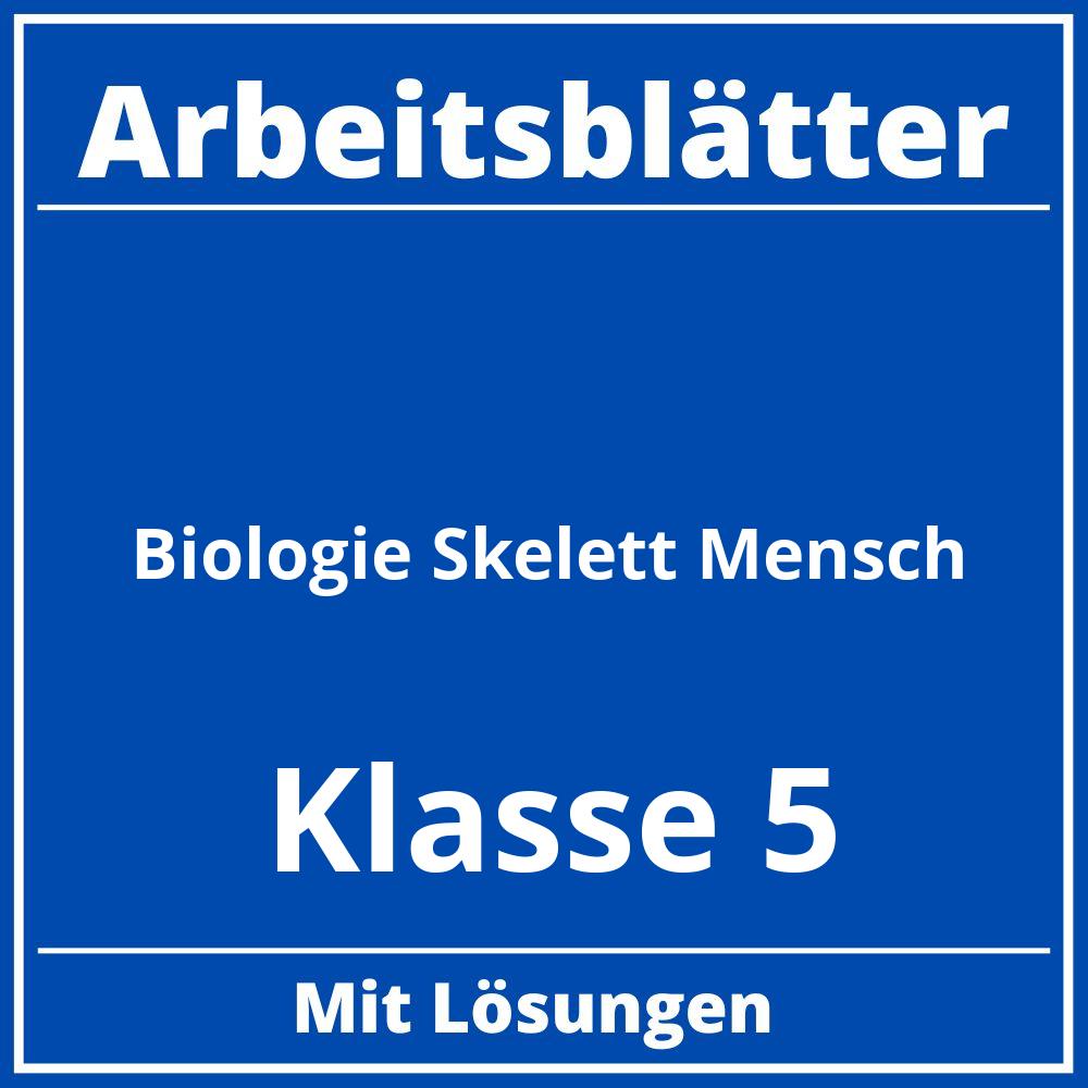 Arbeitsblätter Biologie Klasse 5 Skelett Mensch