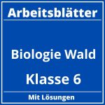 Arbeitsblätter Biologie Klasse 6 Wald PDF