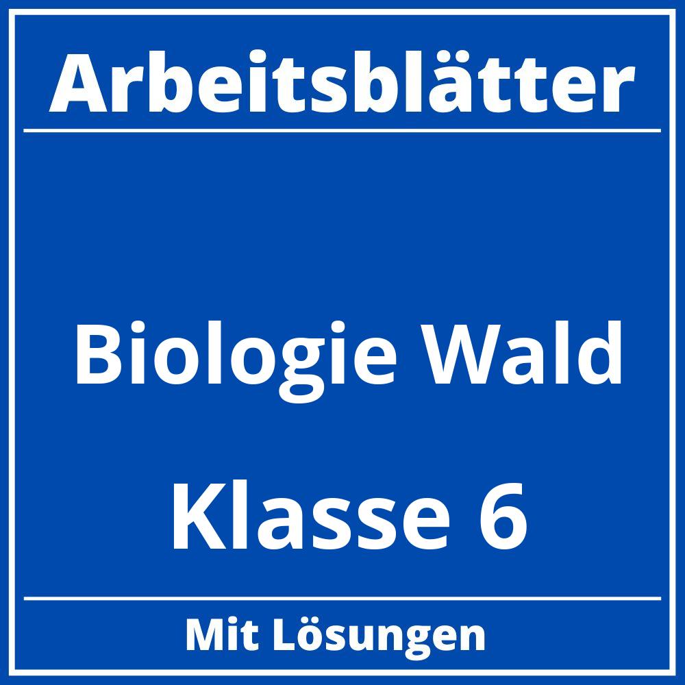 Arbeitsblätter Biologie Klasse 6 Wald