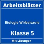 Arbeitsblätter Biologie Klasse 5 Wirbelsäule PDF