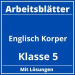 Englisch Klasse 5 Arbeitsblätter Körper PDF