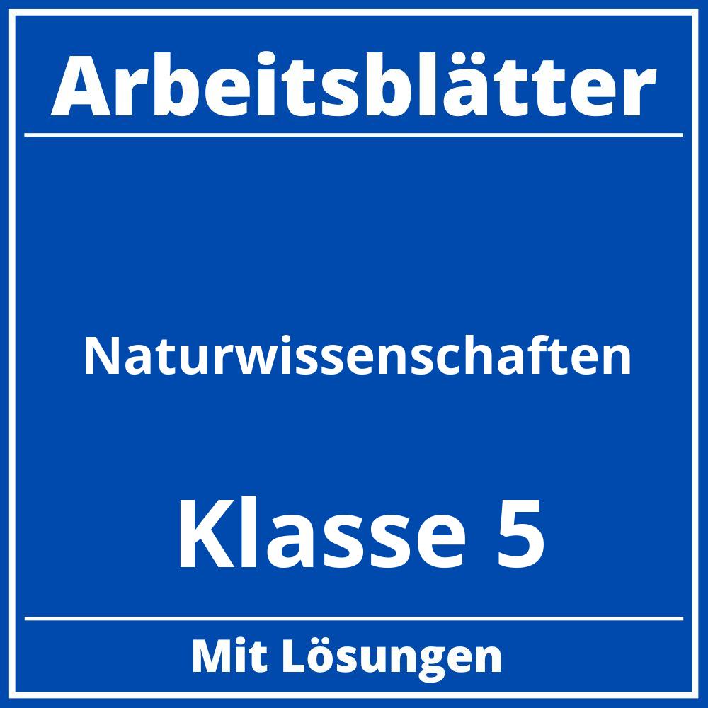 Naturwissenschaften Klasse 5 Arbeitsblätter