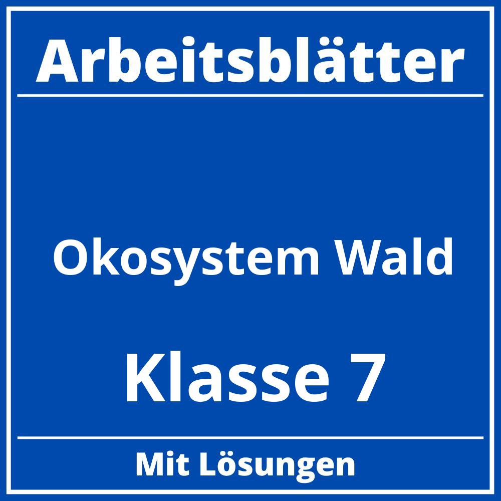 Ökosystem Wald Arbeitsblätter Klasse 7