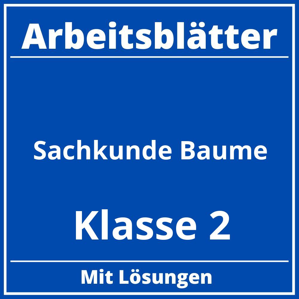 Arbeitsblätter Sachkunde Klasse 2 Bäume