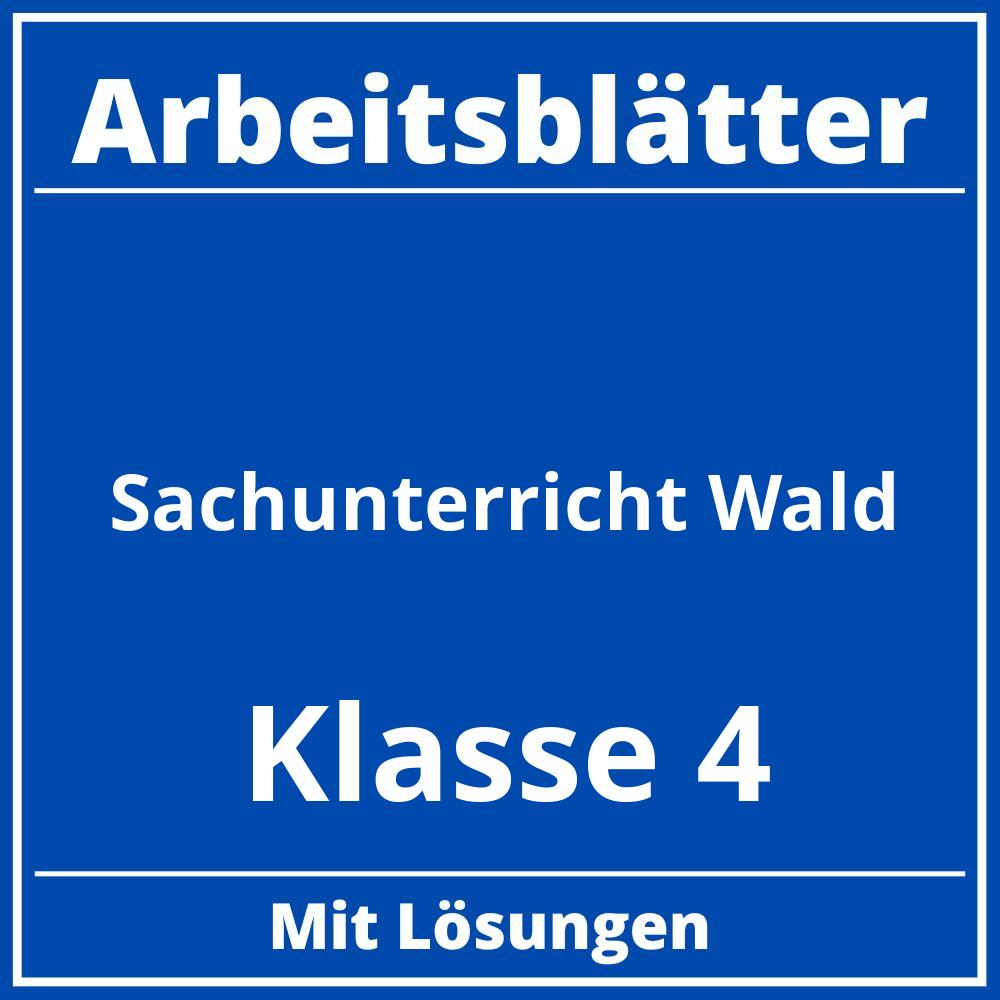 Sachunterricht Klasse 4 Wald Arbeitsblätter