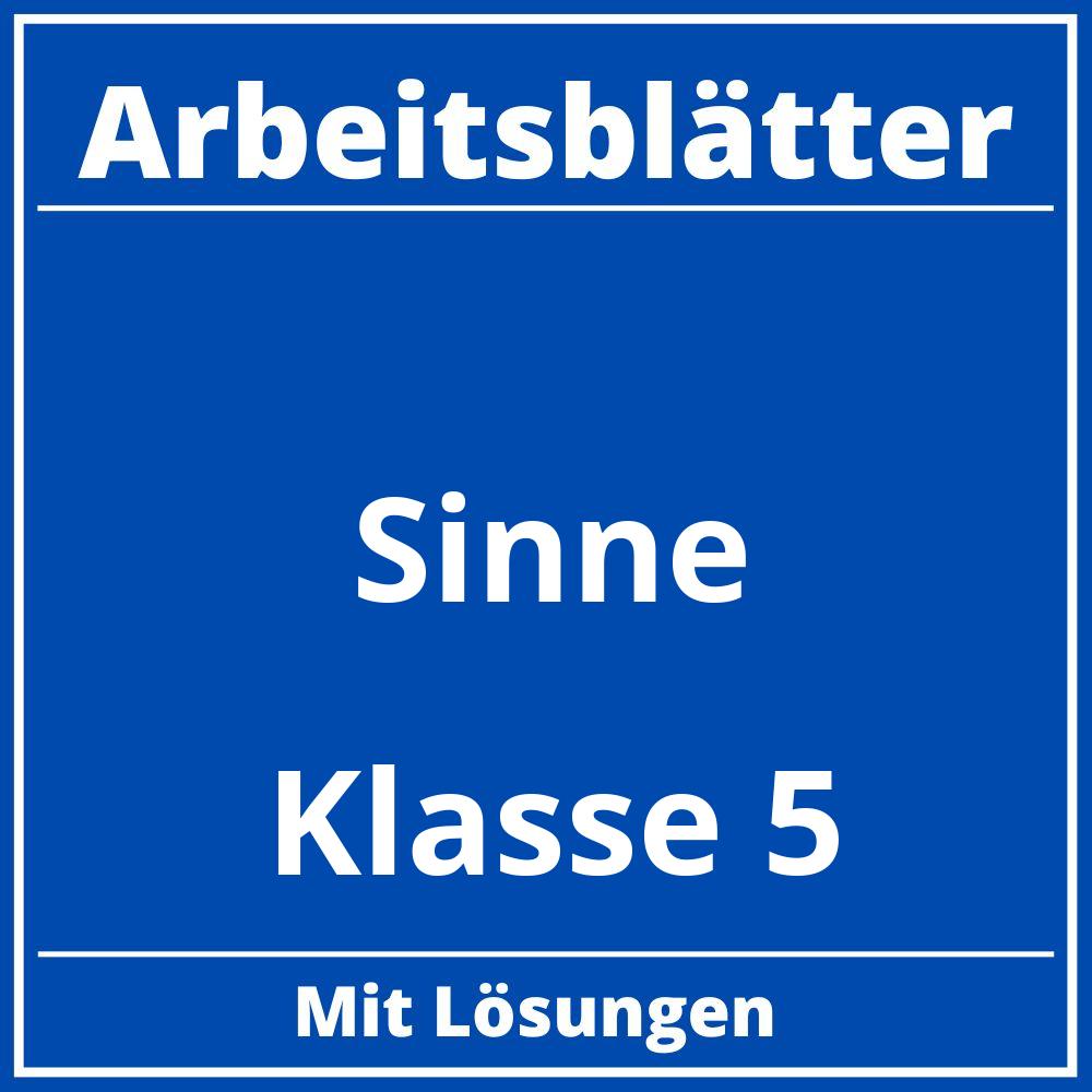 Arbeitsblätter Sinne Klasse 5