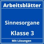 Arbeitsblätter Sinnesorgane Klasse 3 PDF