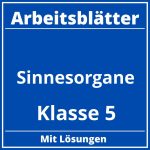 Sinnesorgane Arbeitsblätter Klasse 5 PDF