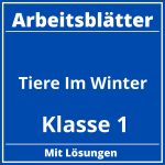 Tiere Im Winter Arbeitsblätter Klasse 1 PDF