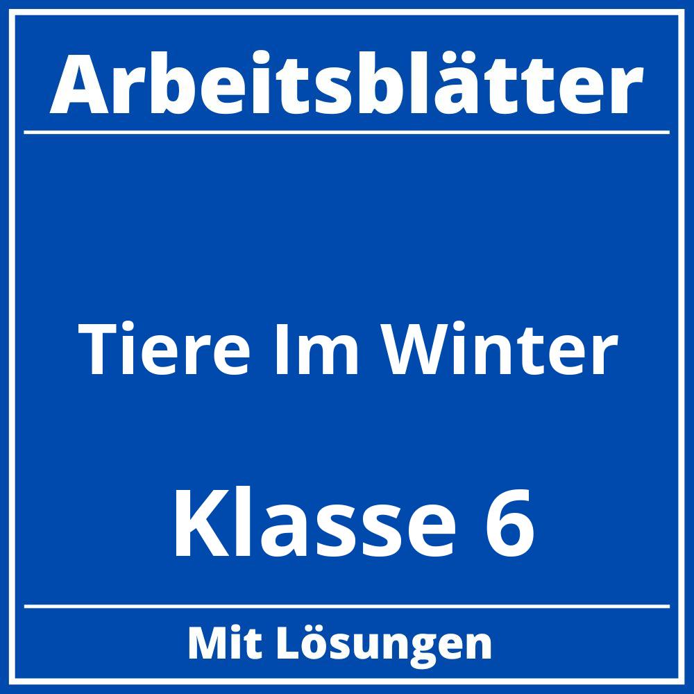 Tiere Im Winter Arbeitsblätter Klasse 6