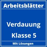 Verdauung Arbeitsblätter Klasse 5 PDF