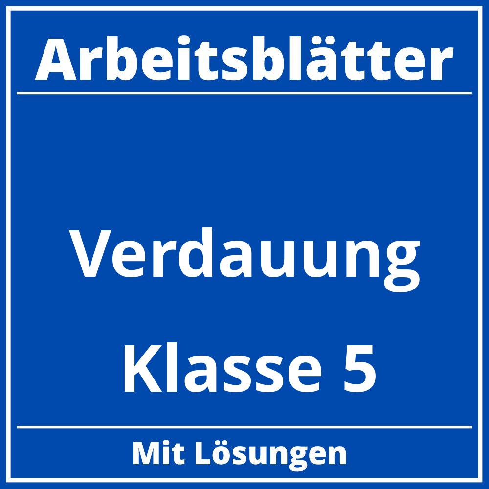 Verdauung Arbeitsblätter Klasse 5